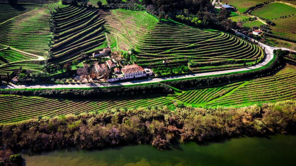 Casa Dos Varais: Un Gioiello di Ospitalità nel Douro