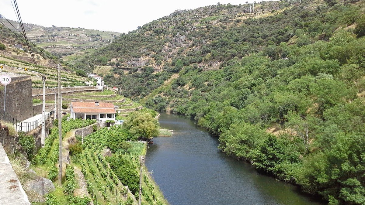 Sabrosa: Terra Natal de Fernão de Magalhães no Coração do Douro