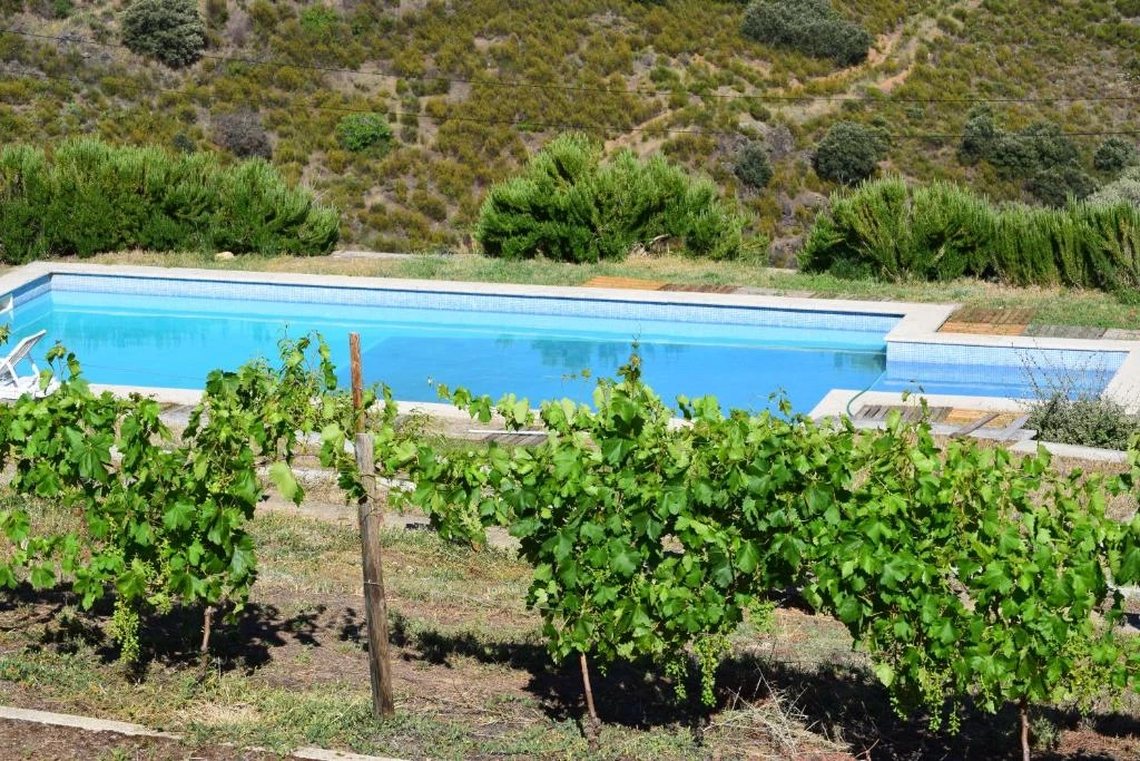 Mogadouro