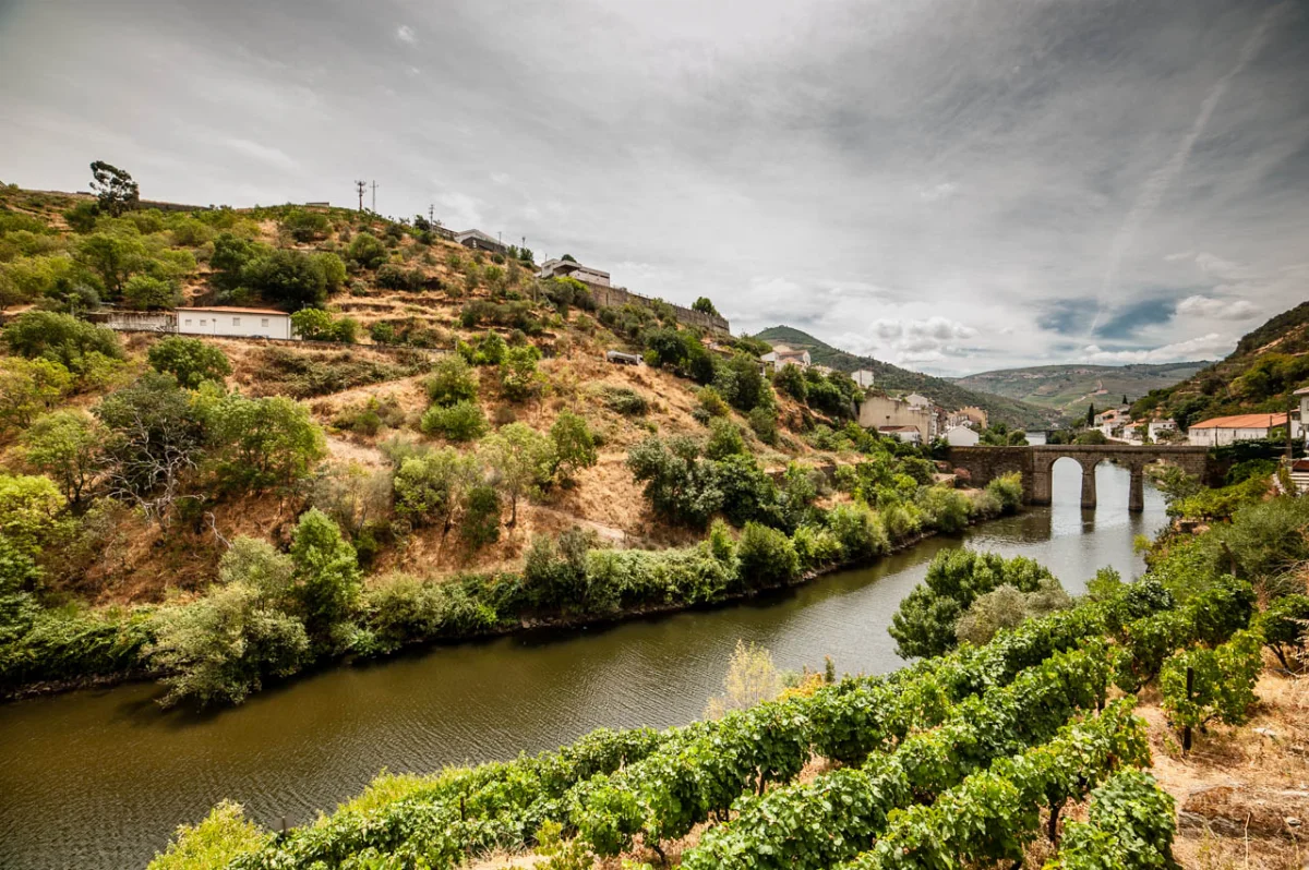 Douro-Weinberg-Marathon 2026 — Pinhão