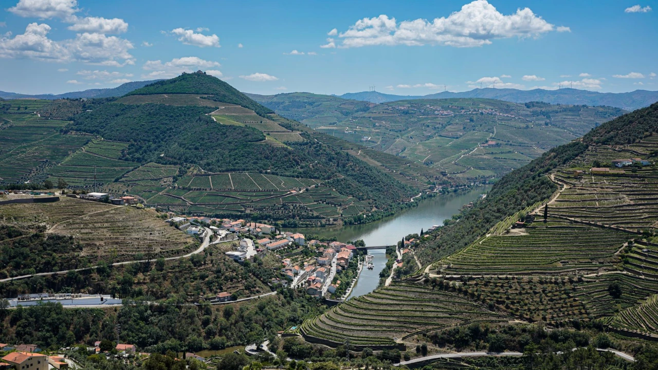 Vindouro — Wine & History 2026