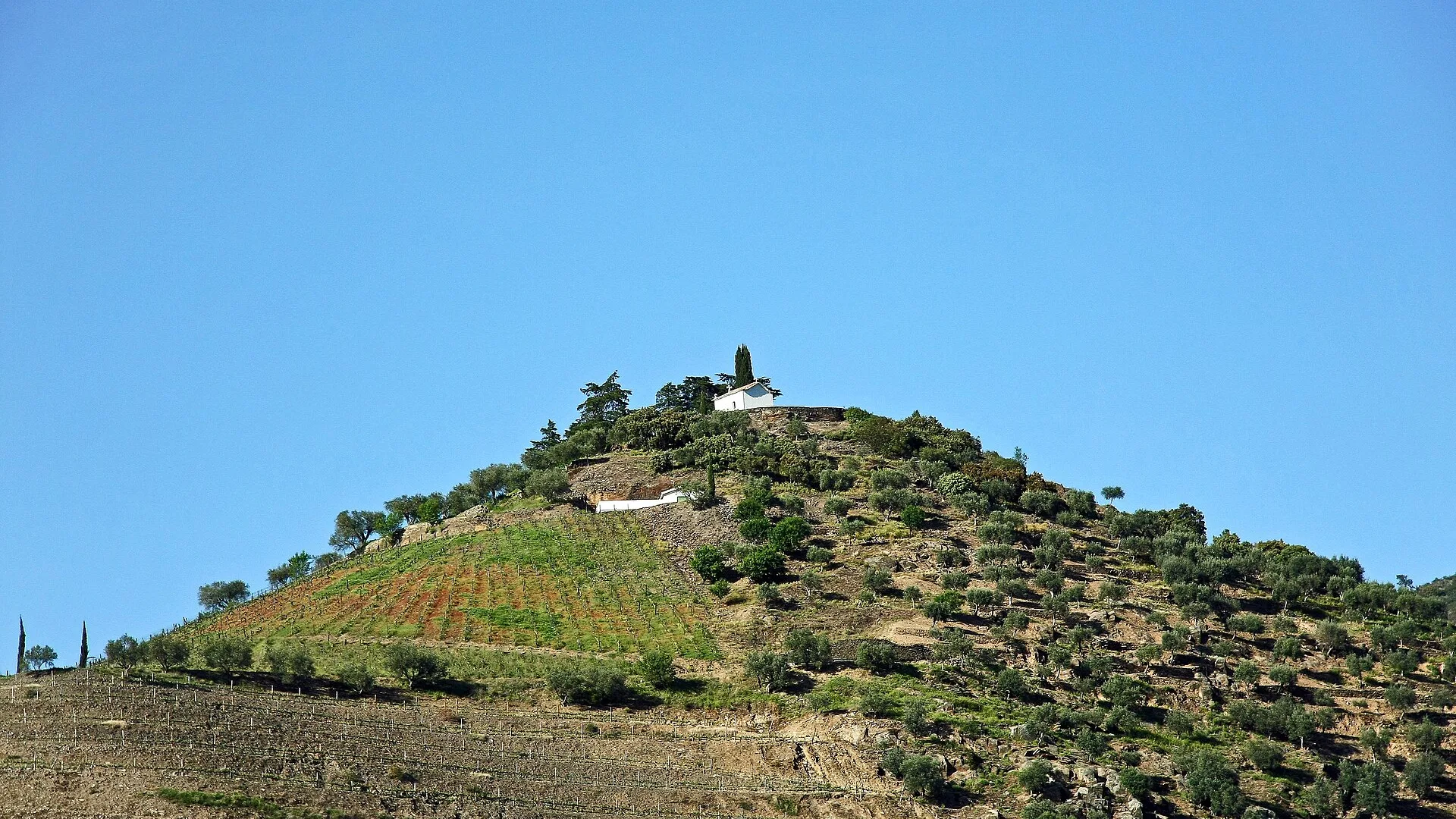 Where to Stay in the Douro Valley: Best Accommodation Guide