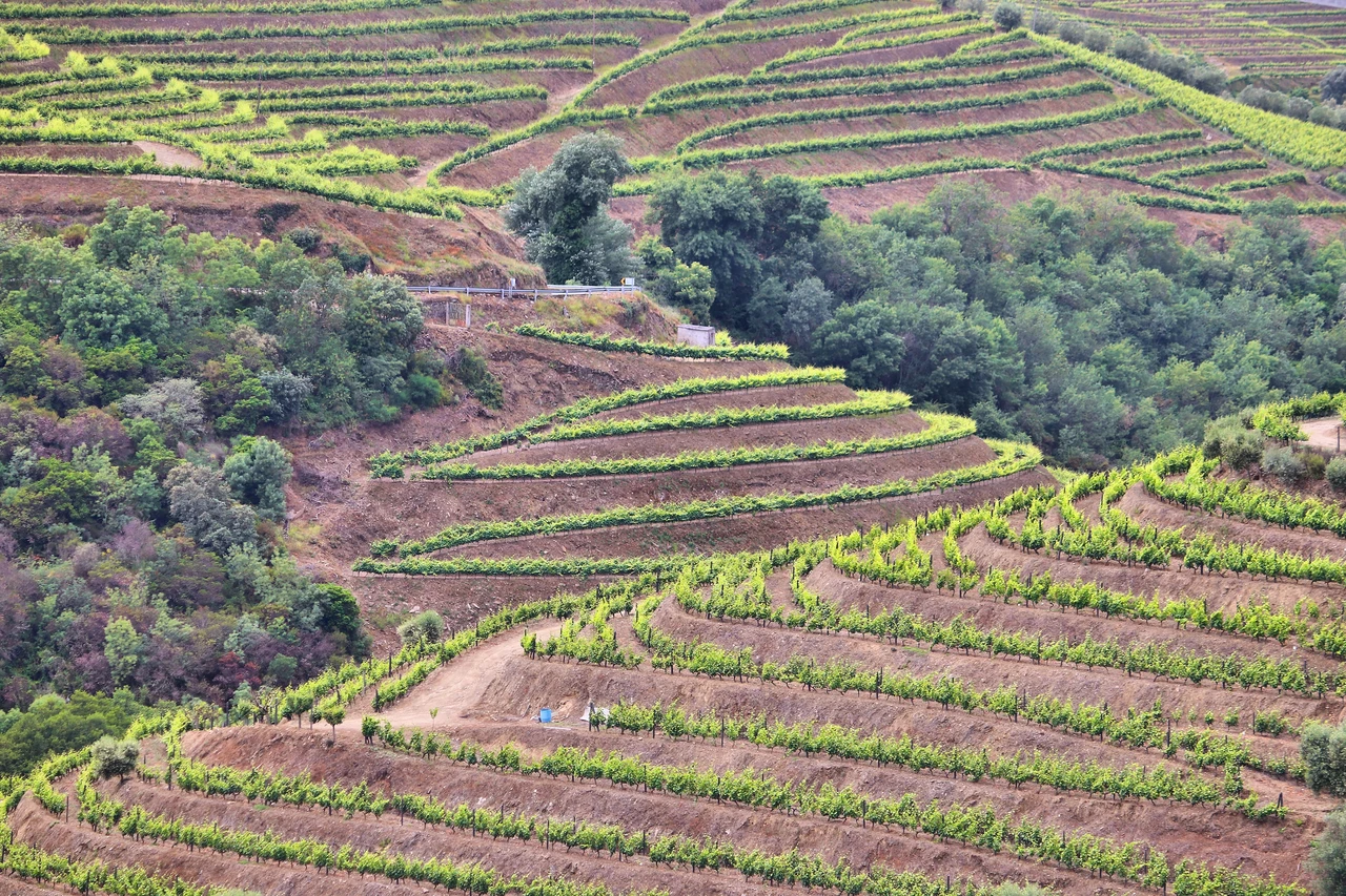 River Beaches in the Douro Valley: Where to Swim in Summer 2026