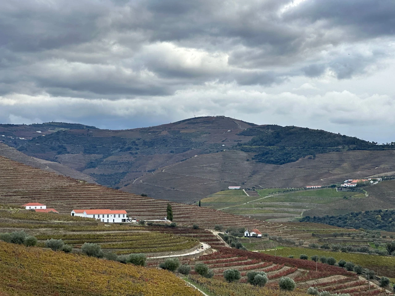Colline a terrazze vitate lungo il fiume Douro, tipiche del paesaggio spettacolare della valle
