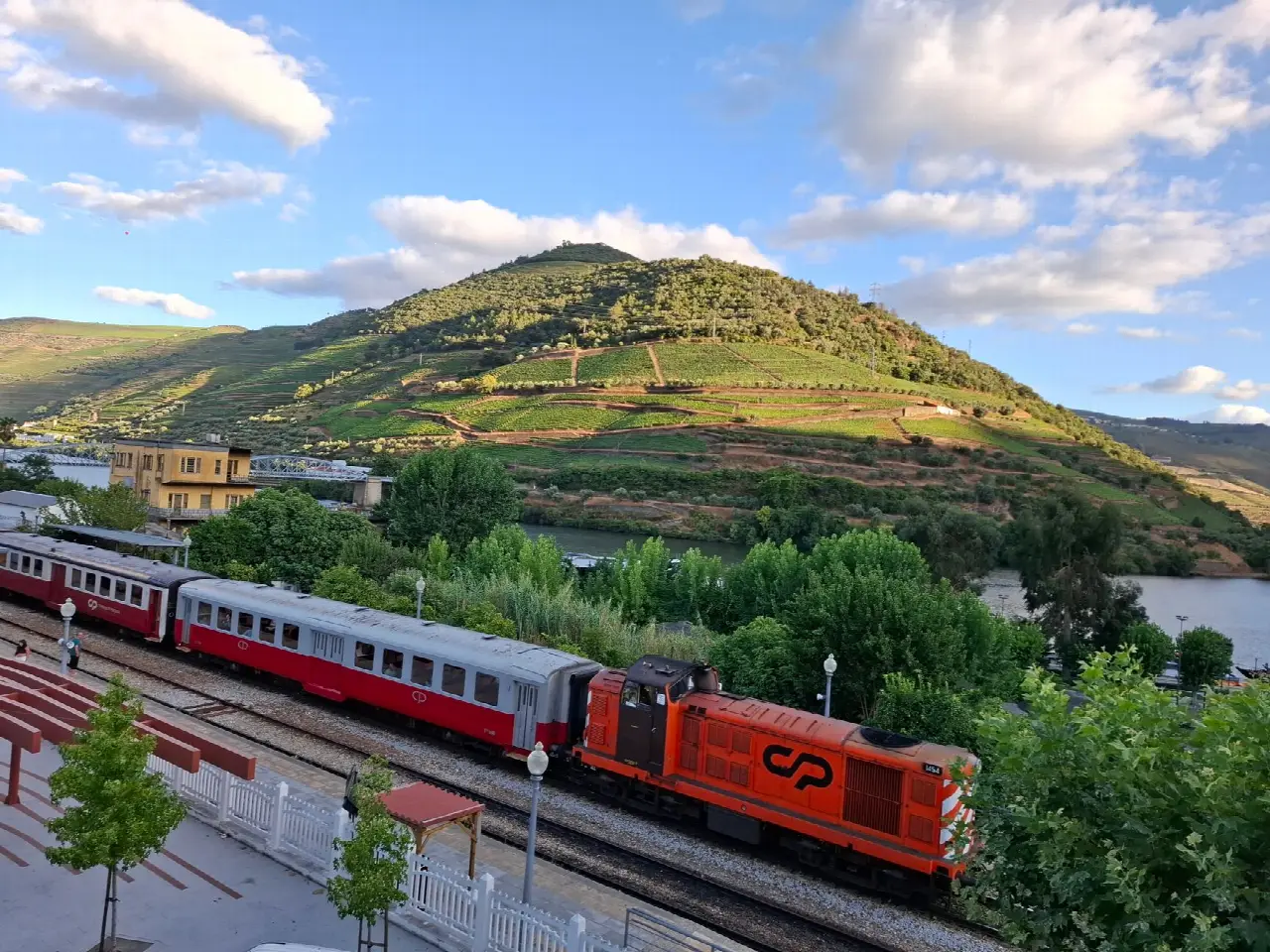 Da Porto alla Valle del Douro in un Giorno nel 2026: Tour, Treno, Crociera o Auto?