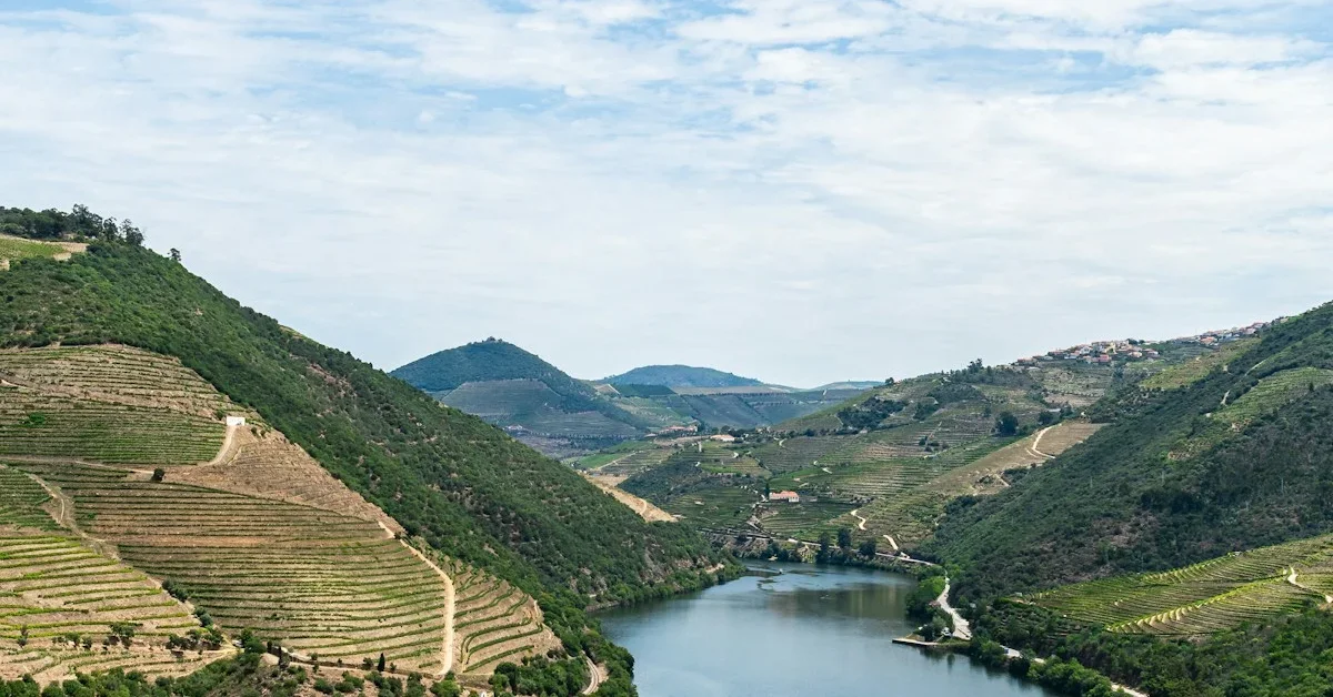 Quinta do Vallado: 300 Years of History in the Douro Valley