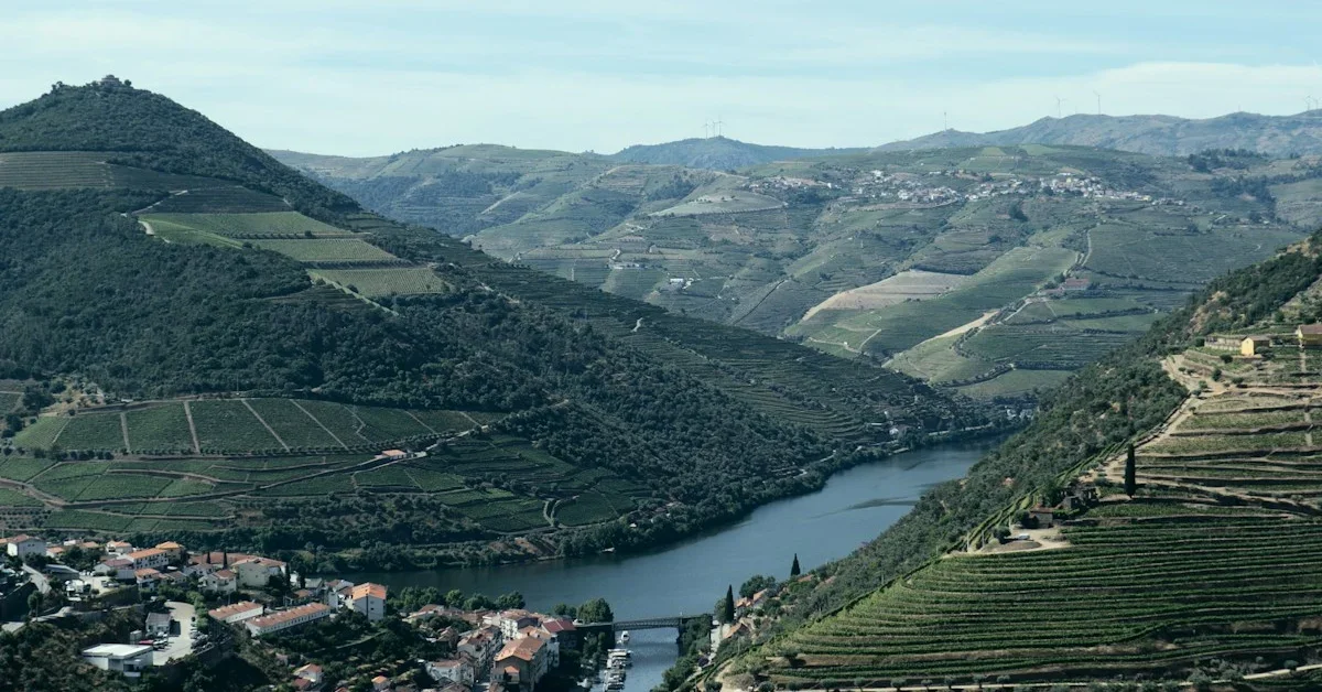 Quinta do Vallado: Organic Wine Tourism in the Côa Valley