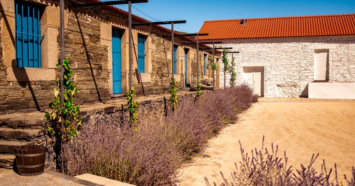 Quinta do Pégo: Rural Hotel with Panoramic Douro Views in Tabuaço